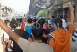 فعاليات حاشدة لـ"ضنك" بكفر الشيخ