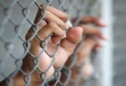 اضراب 140 معتقلا عن الطعام في سجن بنها