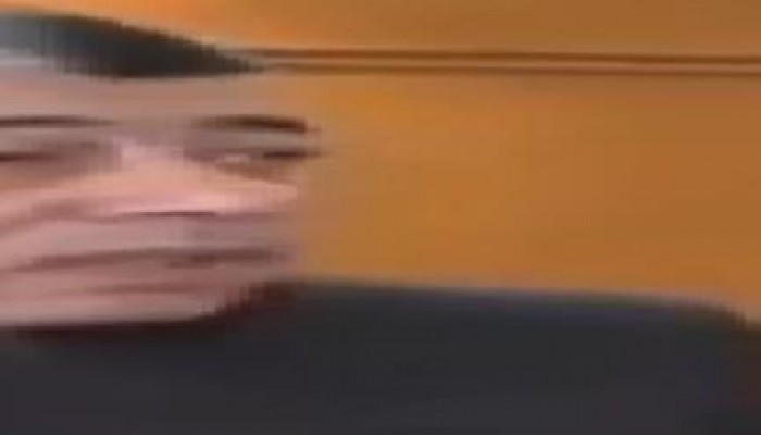 بالفيديو : شاهد رعب كلب الداخليه من عودة الرئيس المنتخب مرسى