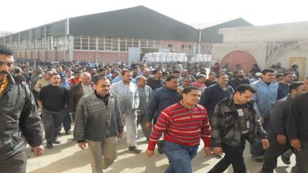 شركة "النحاس بالإسكندرية" تعلن الدخول فى إضرابٍ مفتوح"