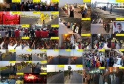 تقرير مجمع لفاعليات أسبوع ثوري بالبحيرة