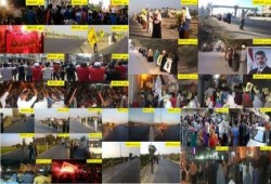 تقرير مجمع لفاعليات أسبوع ثوري بالبحيرة