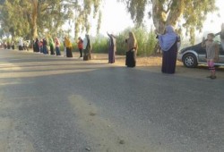 سلسلة بشرية بالغربية تطالب باسقاط الانقلاب