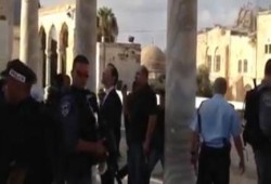 نائب رئيس الكنيست يقتحم المسجد الأقصى (فيديو)