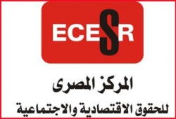 "المصرى للحقوق الاقتصادية والاجتماعية" بالإسكندرية يعرب عن قلقه لاختفاء المواطن أحمد لطفي