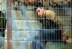 تعذيب طالب بمركز شرطة الاقصر وتدهور حالته الصحية