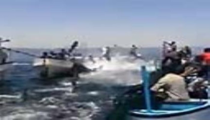 بالفيديو.. الأسماك تقفز إلى قوارب الصيادين بغزة بعد العدوان الأخير على القطاع