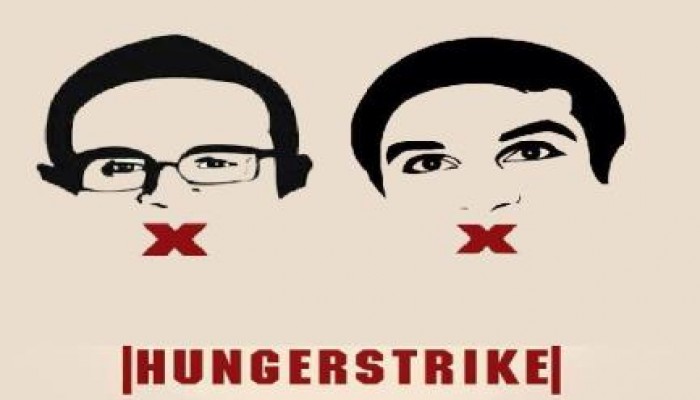 ارتفاع المشاركين في حملة "الأمعاء الخاوية" بمصر إلى 295 ناشطا