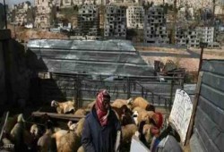 مخطط "صهيوني" لتهجير آلاف البدو الفلسطينيين