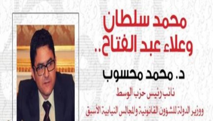 محمد محسوب يكتب: محمد سلطان وعلاء عبد الفتاح..