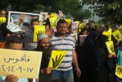 الشرقية: سلسلة بشرية ومسيرة لثوار فاقوس رفضا لبيع مصر