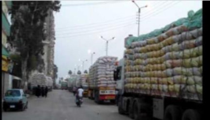 موردو الأرز يحاصرون الدقهلية للمضارب للمطالبة بصرف مستحقاتهم