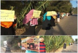 سلسلة بشرية صباحية بقرية طنوب منوفية ضد الانقلاب العسكري