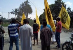 ثوار الإسماعيلية يهتفون: "كبر كبر غيظهم أكثر.. يسقط يسقط حكم العسكر"