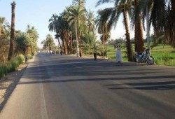 الأقصر: إطلاق الرصاص الحى على سلسلة بشرية واعتقال 3 من مؤيدي الشرعية بإسنا