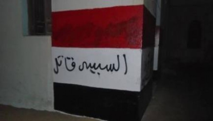 الشرقية: حملة اسبراي مناهضة للانقلاب بقرية الأسدية بأبو حماد