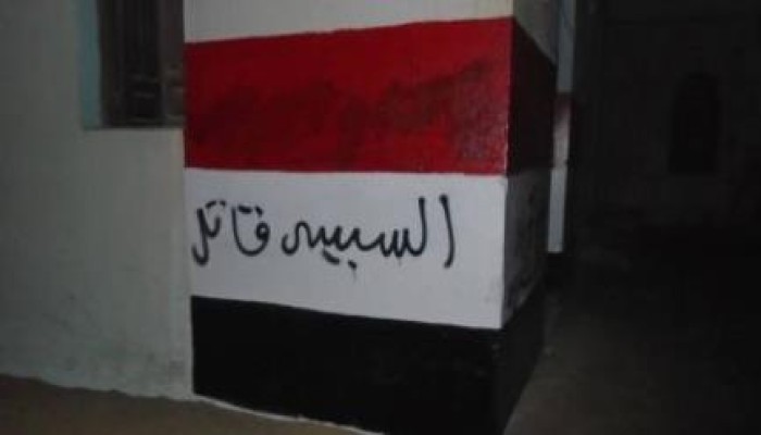 الشرقية: حملة اسبراي مناهضة للانقلاب بقرية الأسدية بأبو حماد