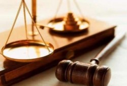 حكم نهائي بعامين على 4 معتقلات بقضية"دار القضاء العالي"