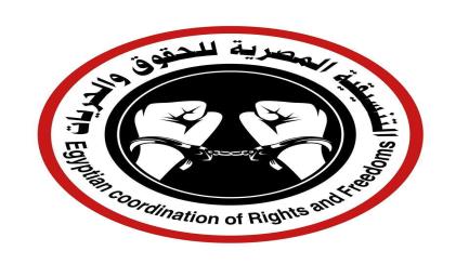 "التنسيقية المصرية للحقوق والحريات" تدين الاعتداء الاجرامي لقوات الانقلاب على ناهيا