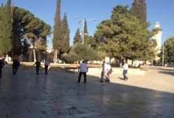 حصار مشدد للأقصى ومستوطنون يقتحمون باحاته