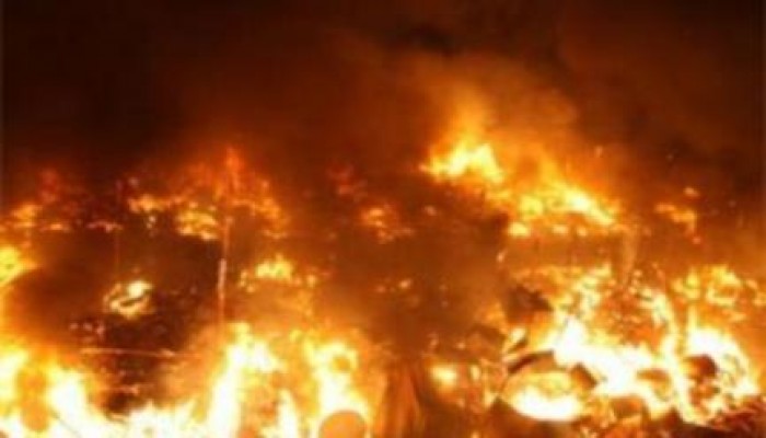 في عهد السيسي: فلاحون بالشرقية يحرقون محصولهم من القطن بسبب الأسعار