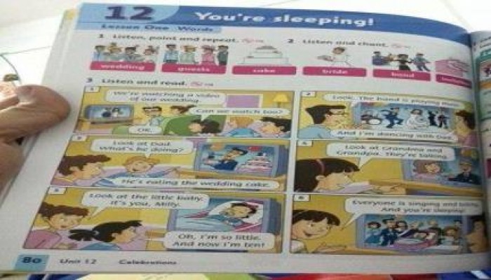 في عهد السيسي: منهج اللغة الإنجليزية بالابتدائي يحض على الرذيلة والانجاب قبل الزواج