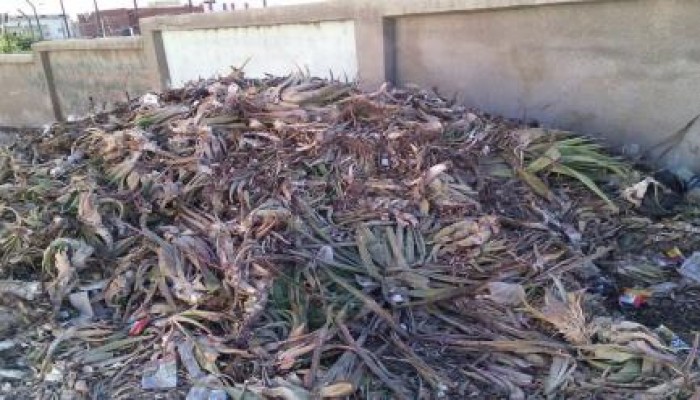 بالصور: شكاوى من انتشار القمامة بكثافة بجوار سور مقابر العريش