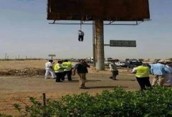 «يوم الانتحار»: 3 حوادث بسبب الأزمات النفسية والمادية