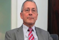 ألمانيا: لا يمكن حظر "الإخوان" ونرفض أحكام الإعدام