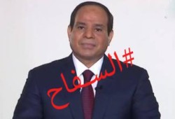 د.خليل العناني: لن يفلح إعلام العار في صنع زعامة للسفاح