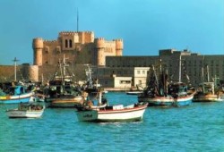 النيران تلتهم 3 ورش لتصنيع المراكب بالأنفوشي