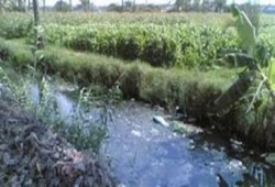 التخلص من الصرف الصحي بالترع يشعل غضب أهالي ومزارعي الشرقية