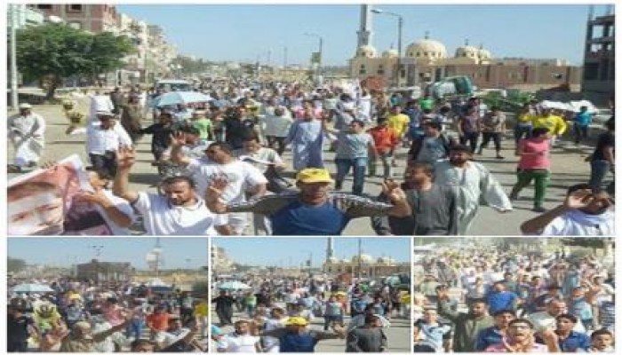 أسبوع "العدالة" كفر الشيخ: مسيرات صباحية وأخرى بعد الجمعة لرفض الانقلاب