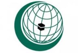 "التعاون الإسلامي" تدعم ملاحقة الكيان الصهيوني في الجنائية الدولية