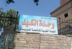 22 مليار جنيه خسائر إصابة 12 مليون مواطن بفيروس (سى)