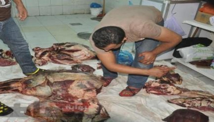 موظف يكشف توريد لحوم فاسدة للمجمعات الاستهلاكية بالإسكندرية