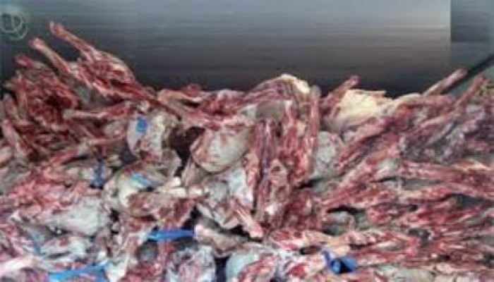 الانقلاب يستورد لحومًا فاسدة لبيعها بالإسكندرية قبيل عيد الأضحى