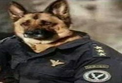 "العذر الشرعي" ينقذ فتاة من الاغتصاب بقسم شرطة رأس البر