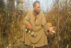 مزارع صان الحجر بعد حرقه لمحصول القطن لتدني سعره : الحزن يعتصرنى ولست نادمًا على حرقه