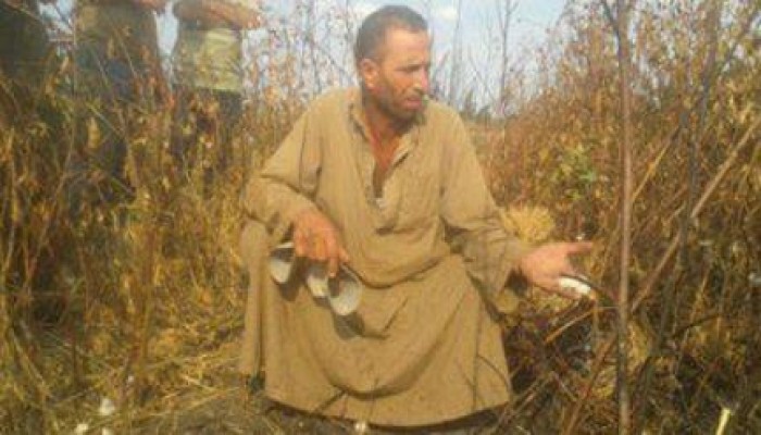 مزارع صان الحجر بعد حرقه لمحصول القطن لتدني سعره : الحزن يعتصرنى ولست نادمًا على حرقه