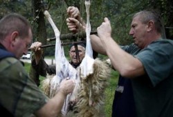 أجواء العيد في العالم العربي والإسلامي (صور)