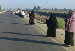 سلسلة بشرية بمركز الرياض بكفر الشيخ ثاني ايام  العيد