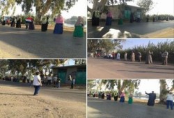 " الله أكبر .. عيدنا النصر " سلاسل بشرية في السنطة غربية