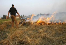 انعدام الرؤية على طرق الشرقية بسبب حرق قش الأرز