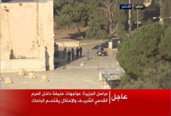 المسجد الأقصى .. مستوطنون يقتحمون الباحات بعد مواجهات عنيفة، وحريق محدود في سجاد المسجد