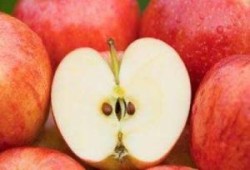 أخصائية تغذية تحذر من تناول بذور التفاح