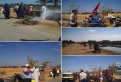 الدقهلية.. فلاحو بلقاس يحرقون "القطن والأرز" احتجاجاً على تجاهل حكومة الانقلاب