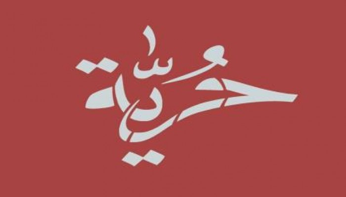 كفر الشيخ: بالاسماء أمن الإنقلاب يختطف 22 من مؤيدي الشرعية أثناء عودتهم من مسيرة بلطيم