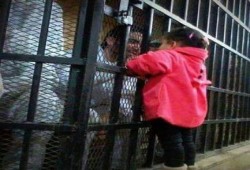 محمود الغنام يكتب : الرقم الذي تحاول الاتصال به معتقل حاليا!