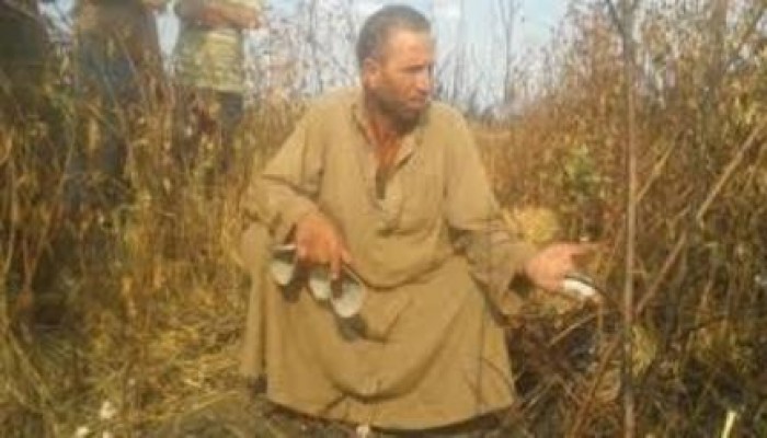 فى عصر الانقلاب: خسائر بالملايين لفلاحي الشرقية بسبب تأخر  في تحديد أسعار القطن والأرز